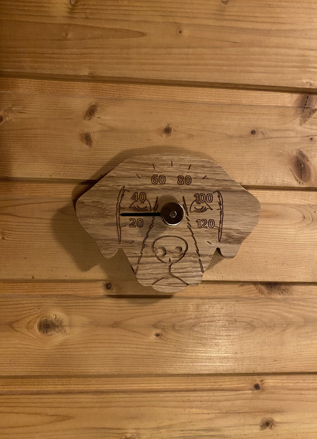 Saunamittari - Labradorinnoutaja