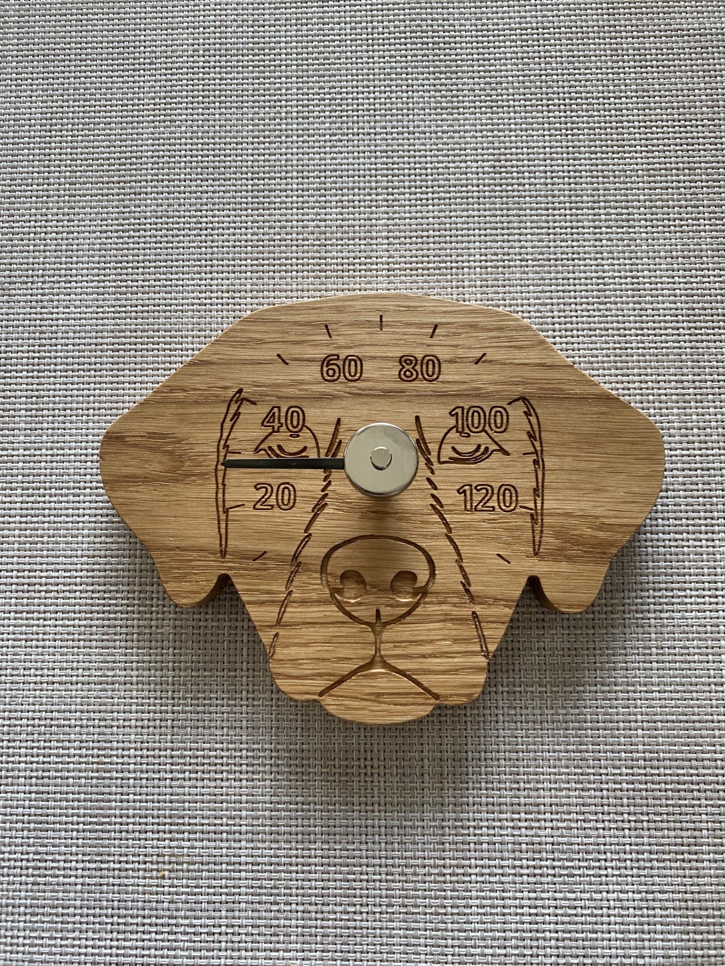 Saunamittari - Labradorinnoutaja