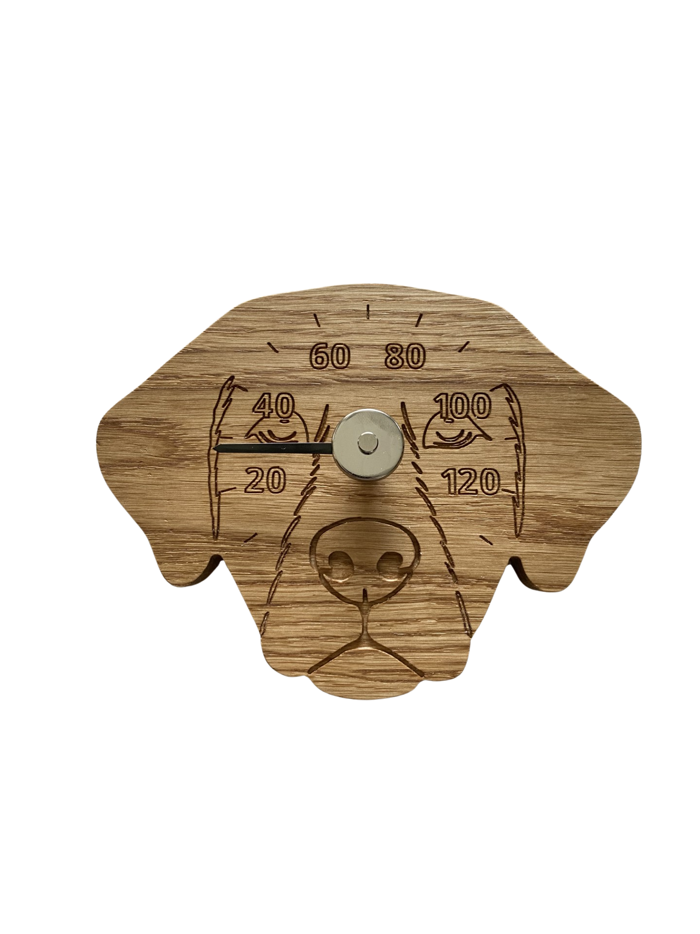 Saunamittari - Labradorinnoutaja